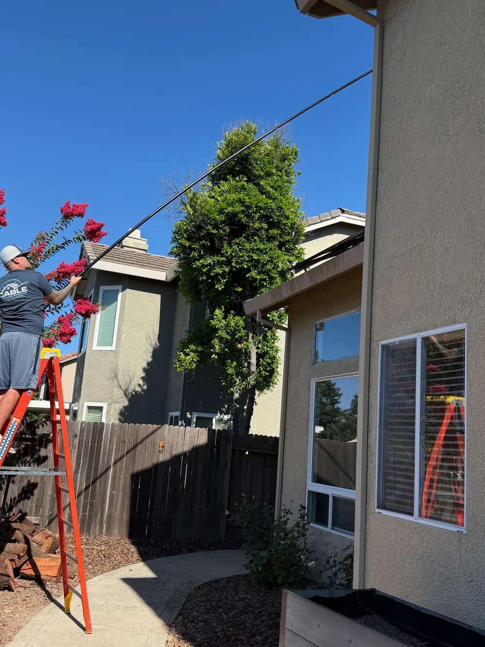 Cable solar cleaning crew member washing rooftop solar panels from a ladder with a water-fed pole