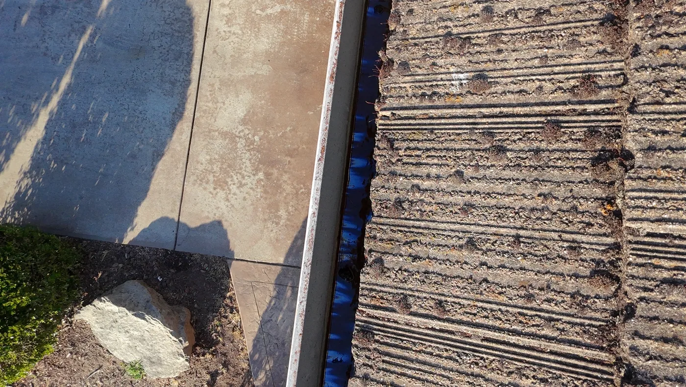 Debris and moss packed along a shingle roof edge and gutter before cleaning